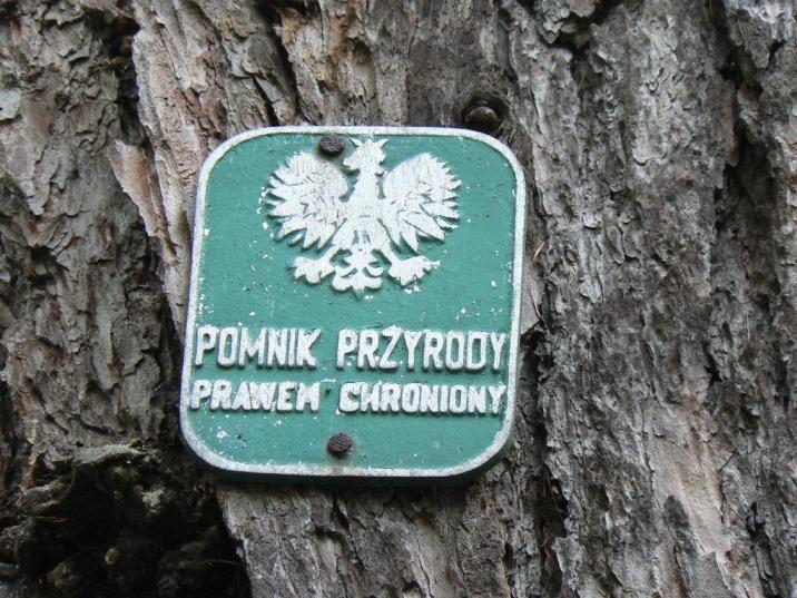 Pomnik&#x20;przyrody